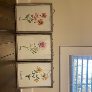 Set of three flower pictures
